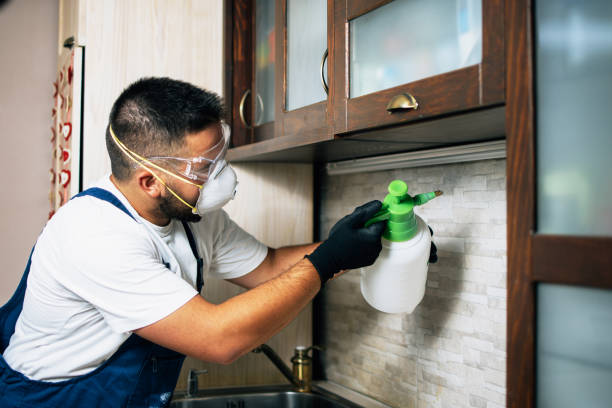 Best Pest Prevention Services  in Utica, OH