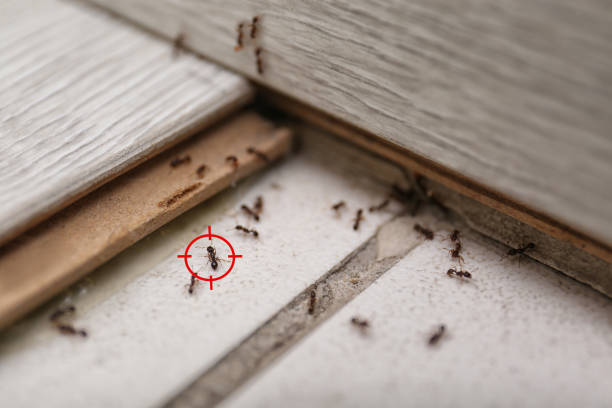 Best Best Pest Control Companies  in Utica, OH