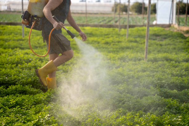 Reliable Utica, OH Pest Control Solutions