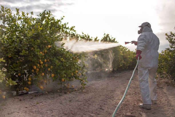 Best Pest Control Near Me  in Utica, OH
