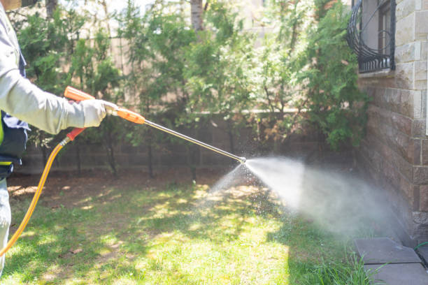 Best Rat Extermination Near Me  in Utica, OH