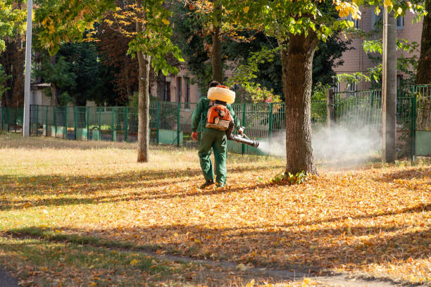 Best Affordable Pest Control Services  in Utica, OH