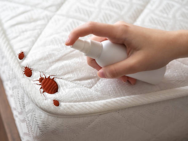 Best Pest Inspection Near Me  in Utica, OH
