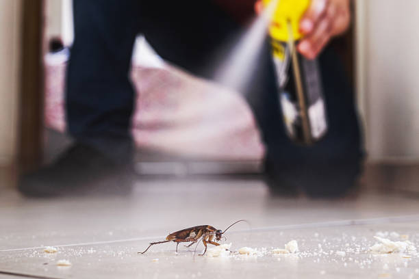 Best Bed Bug Extermination  in Utica, OH