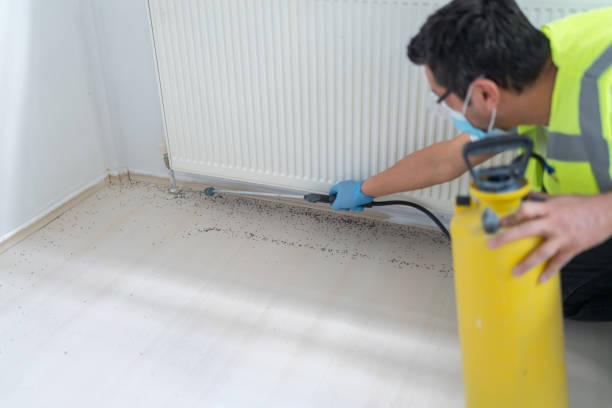 Flea Control Services in Utica, OH