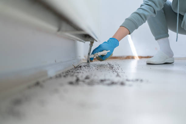 Best Pest Removal Services  in Utica, OH